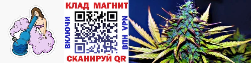 Виды наркотиков купить Нефтегорск A PVP  Марихуана  КОКАИН  АМФ  Галлюциногенные грибы  Мефедрон  Гашиш 